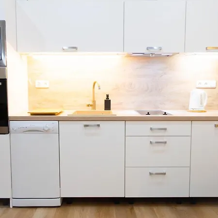 Spicak 77 Prokop Start Point No 105b * Zelezna Ruda