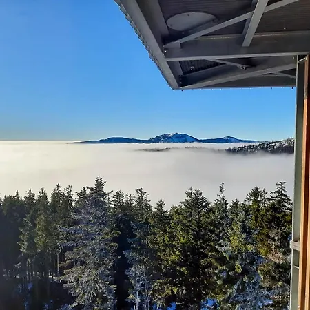 Spicak 77 Prokop Start Point No 105b *